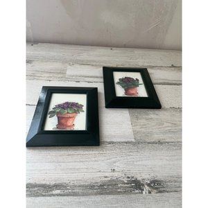 Set of two framed African violet pictures